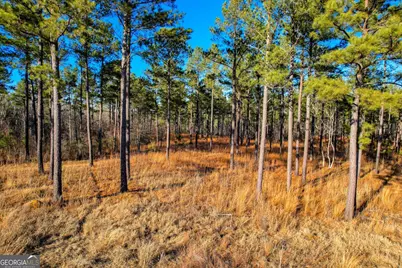 2164 Lincolnton Highway, Elberton, GA 30635 - Photo 113