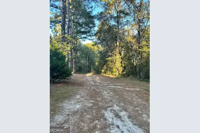 216 Skye View Drive, Statesboro, GA 30458 - Photo 41