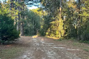 216 Skye Vw Dr, Statesboro, GA 30458 - Photo 41