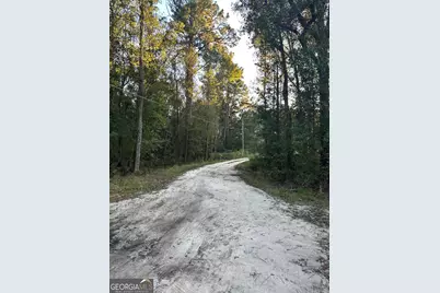 216 Skye View Drive, Statesboro, GA 30458 - Photo 35