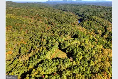 523 Long Branch Road, Ranger, GA 30734 - Photo 7