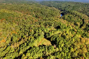 523 Long Branch Rd, Ranger, GA 30734 - Photo 7