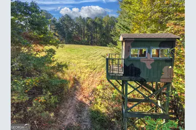 523 Long Branch Road, Ranger, GA 30734 - Photo 9