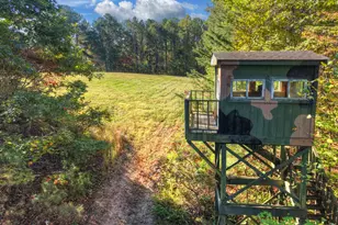 523 Long Branch Rd, Ranger, GA 30734 - Photo 9