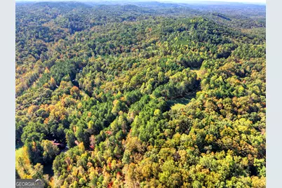 523 Long Branch Road, Ranger, GA 30734 - Photo 53