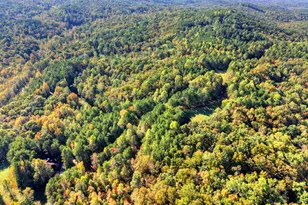 523 Long Branch Rd, Ranger, GA 30734 - Photo 53