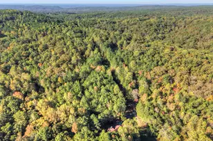 523 Long Branch Rd, Ranger, GA 30734 - Photo 3