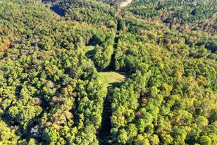 523 Long Branch Rd, Ranger, GA 30734 - Photo 51