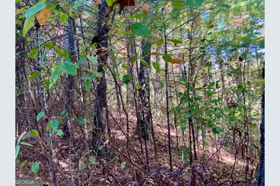 0 Uplander Court, Rabun Gap, GA 30568 - Photo 3