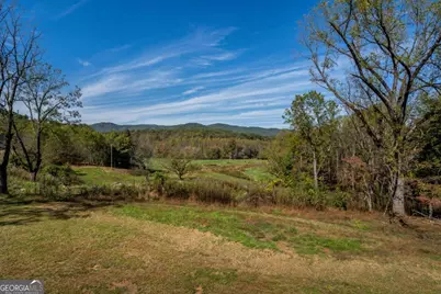 7590 Mobile Road, Blue Ridge, GA 30513 - Photo 53