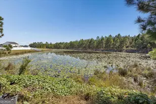 455 Tondee Wy, Midway, GA 31320 - Photo 49