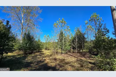 0 Fox Bridge Road, Chatsworth, GA 30705 - Photo 9