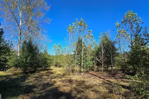 0 Fox Bridge Rd, Chatsworth, GA 30705 - Photo 9