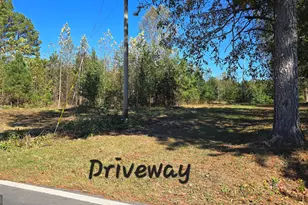 0 Fox Bridge Rd, Chatsworth, GA 30705 - Photo 3