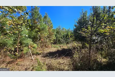 0 Fox Bridge Road, Chatsworth, GA 30705 - Photo 15