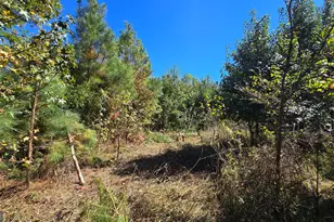 0 Fox Bridge Rd, Chatsworth, GA 30705 - Photo 15