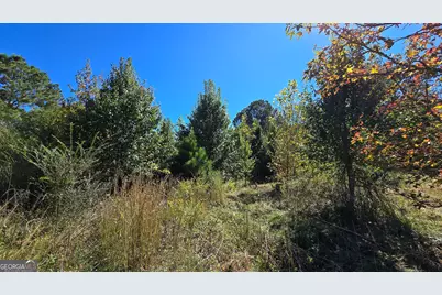 0 Fox Bridge Road, Chatsworth, GA 30705 - Photo 17