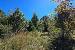 0 Fox Bridge Rd, Chatsworth, GA 30705 - Photo 17