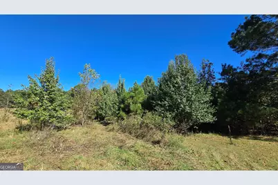 0 Fox Bridge Road, Chatsworth, GA 30705 - Photo 13