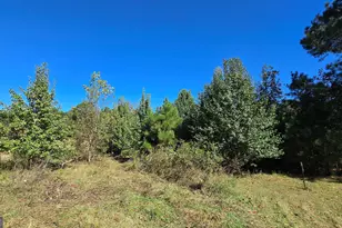 0 Fox Bridge Rd, Chatsworth, GA 30705 - Photo 13