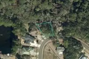 134 Palmera Ln, Brunswick, GA 31520 - Photo 1