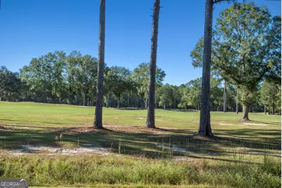 29 Sterling Court, Ellabell, GA 31308 - Photo 37