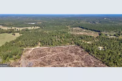 1 Bridges Road, Carlton, GA 30627 - Photo 27