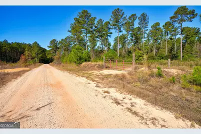 1 Bridges Road, Carlton, GA 30627 - Photo 3