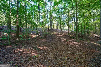 1 Bridges Road, Carlton, GA 30627 - Photo 17