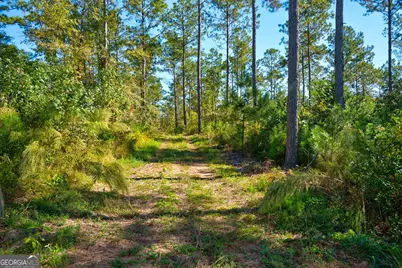 1 Bridges Road, Carlton, GA 30627 - Photo 21