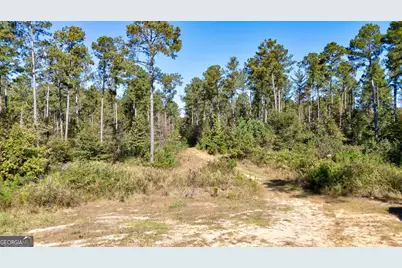 1 Bridges Road, Carlton, GA 30627 - Photo 5