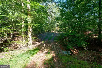 1 Bridges Road, Carlton, GA 30627 - Photo 15