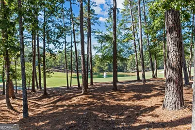 1191 Linger Longer Drive, Greensboro, GA 30642 - Photo 3