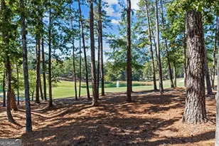 1191 Linger Longer Dr, Greensboro, GA 30642 - Photo 3