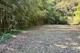 1179 Panola Rd, Stone Mountain, GA 30088 - Photo 15