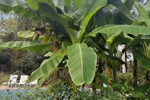 97 Club Cir, Stockbridge, GA 30281 - Photo 53