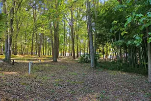 71 Lazy Day Ln, Lavonia, GA 30553 - Photo 35