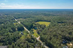 43 Dutch Rd, Hortense, GA 31543 - Photo 49