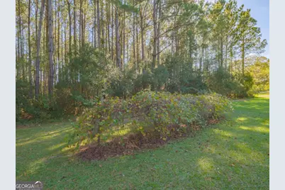 43 Dutch Road, Hortense, GA 31543 - Photo 47