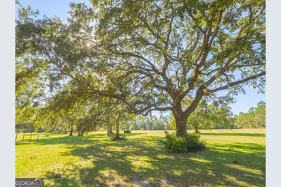 43 Dutch Road, Hortense, GA 31543 - Photo 43