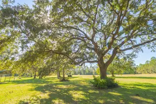 43 Dutch Rd, Hortense, GA 31543 - Photo 43