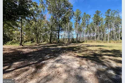 6055 Sunhill Grange Road, Davisboro, GA 31018 - Photo 23