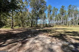 6055 Sun Hill Grange Rd, Davisboro, GA 31018 - Photo 23