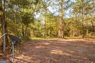 6005 Chancey Rd, Patterson, GA 31557 - Photo 21