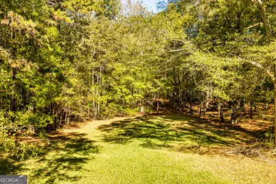 80 Shannon Road, Newnan, GA 30263 - Photo 49