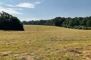 271 Trestle Rd, Locust Grove, GA 30248 - Photo 43