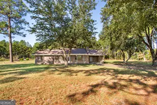 6731 Youmans Chapel Rd, Blackshear, GA 31516 - Photo 3