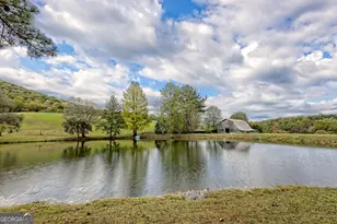 3147 Old Hwy 64 W, Warne, NC 28909 - Photo 97