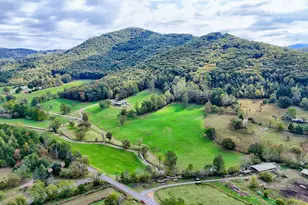 3147 Old Hwy 64 W, Warne, NC 28909 - Photo 5