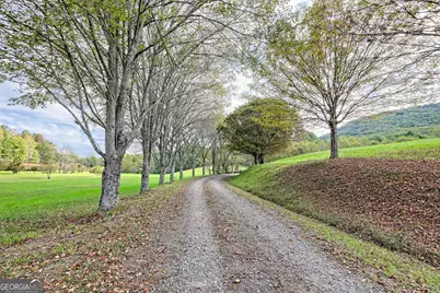 3147 Old Hwy 64W, Warne, NC 28909 - Photo 9